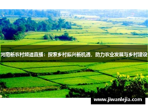 河南新农村频道直播：探索乡村振兴新机遇，助力农业发展与乡村建设