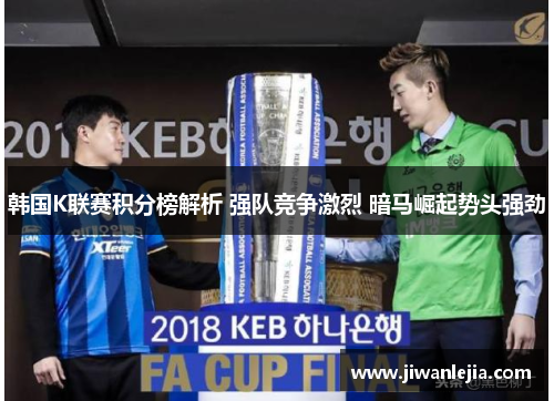 韩国K联赛积分榜解析 强队竞争激烈 暗马崛起势头强劲